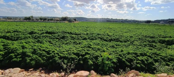 16000m² Land in Polignano a Mare, Italy No. 21699 32