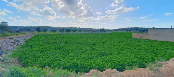 16000m² Land in Polignano a Mare, Italy No. 21699 43