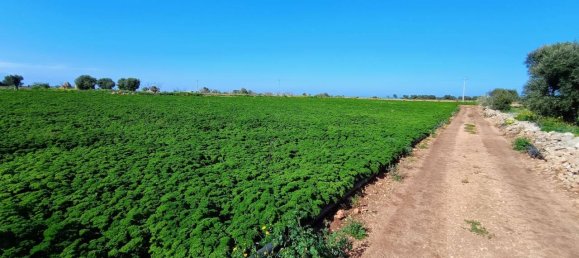 16000m² Land in Polignano a Mare, Italy No. 21699 18