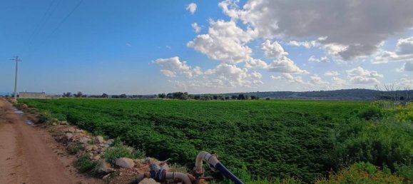 16000m² Land in Polignano a Mare, Italy No. 21699 38