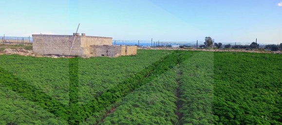 16000m² Land in Polignano a Mare, Italy No. 21699 46
