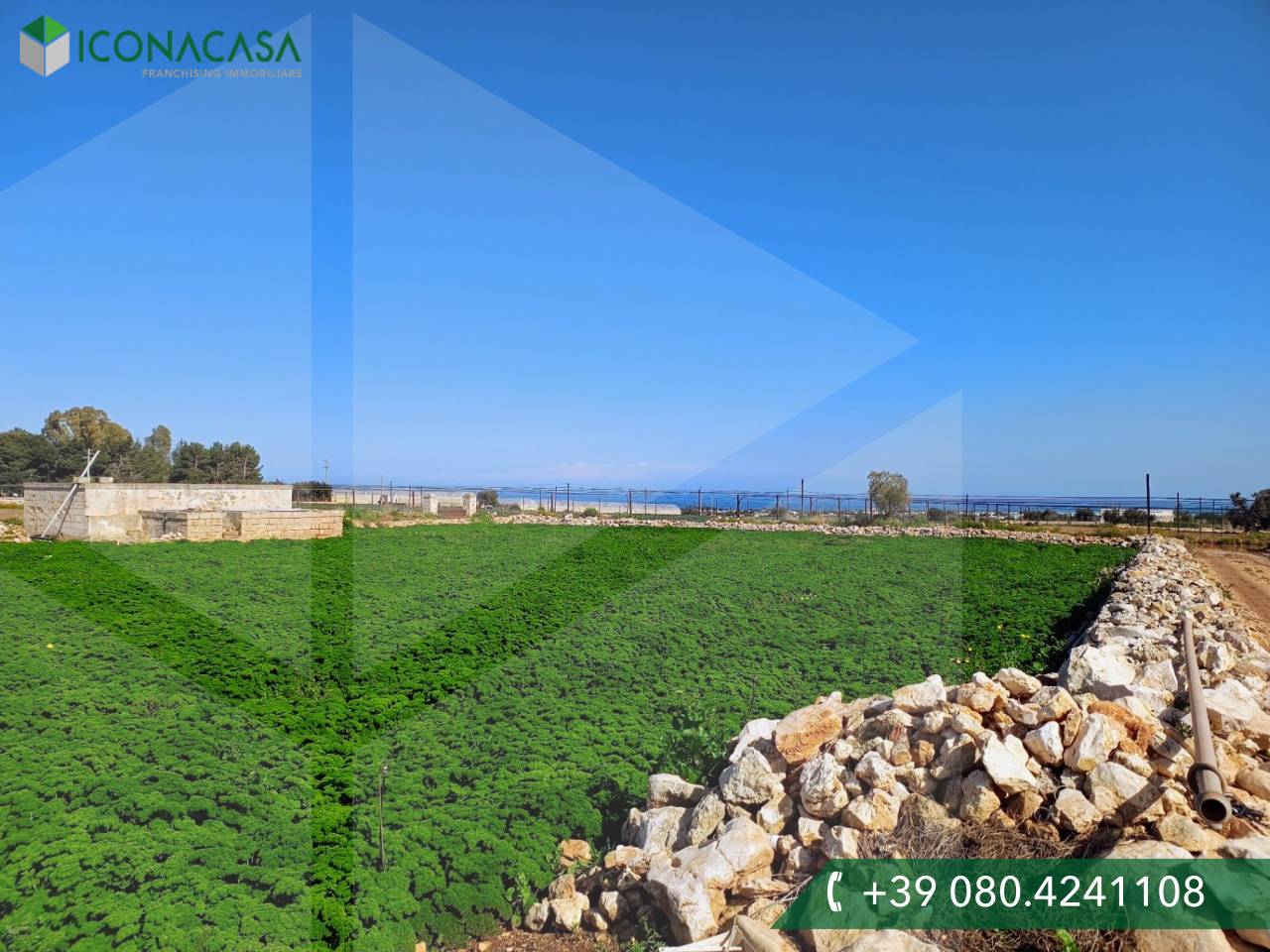 16000m² Land in Polignano a Mare, Italy No. 21699
