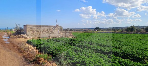 16000m² Land in Polignano a Mare, Italy No. 21699 31