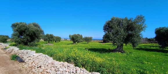 16000m² Land in Polignano a Mare, Italy No. 21699 19
