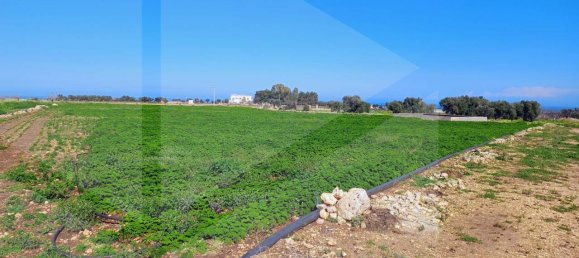 16000m² Land in Polignano a Mare, Italy No. 21699 12