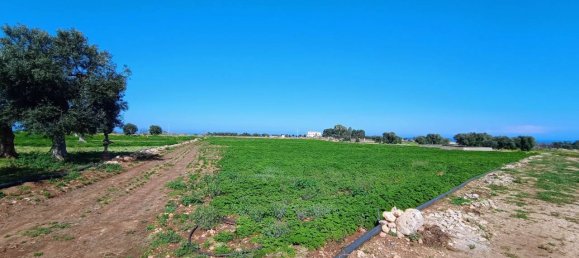 16000m² Land in Polignano a Mare, Italy No. 21699 11