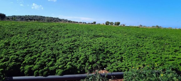 16000m² Land in Polignano a Mare, Italy No. 21699 17