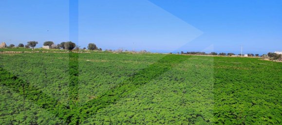 16000m² Land in Polignano a Mare, Italy No. 21699 7