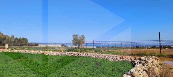 16000m² Land in Polignano a Mare, Italy No. 21699 27
