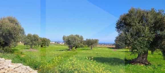 16000m² Land in Polignano a Mare, Italy No. 21699 20