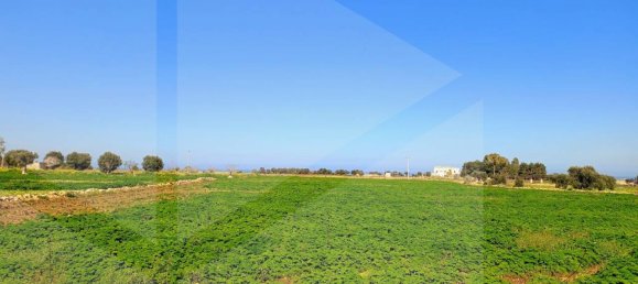 16000m² Land in Polignano a Mare, Italy No. 21699 9
