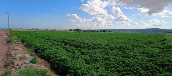 16000m² Land in Polignano a Mare, Italy No. 21699 40