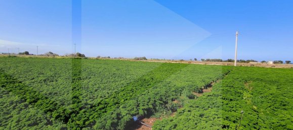 16000m² Land in Polignano a Mare, Italy No. 21699 26