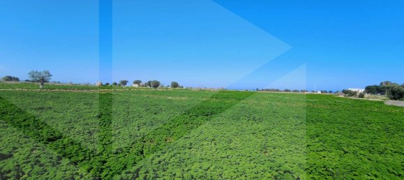 16000m² Land in Polignano a Mare, Italy No. 21699 6