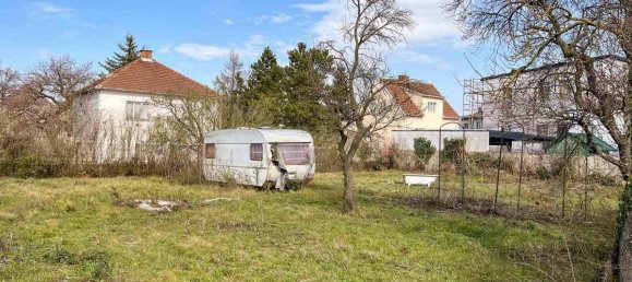 Terrain à Wiener Neustadt, Austria No. 126545 2