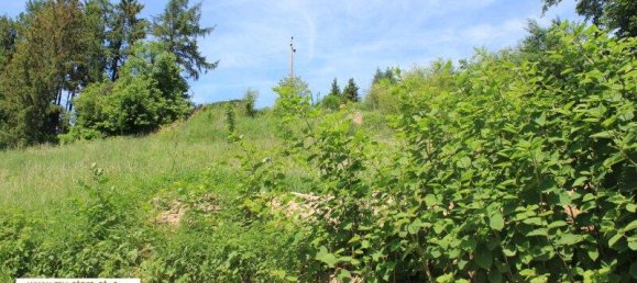 Terreno en Raab, Austria No. 18062 5