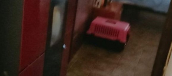 2 rooms Apartment in Massa, Italy No. 80758 6