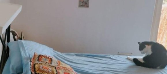 2 rooms Apartment in Massa, Italy No. 80758 10