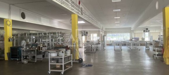 Коммерческая недвижимость 28534м² в Минден-Люббекке, Германия № 356477 7