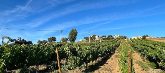 Grundstück in Torres Vedras, Portugal 3520m², Nr. 94519 6