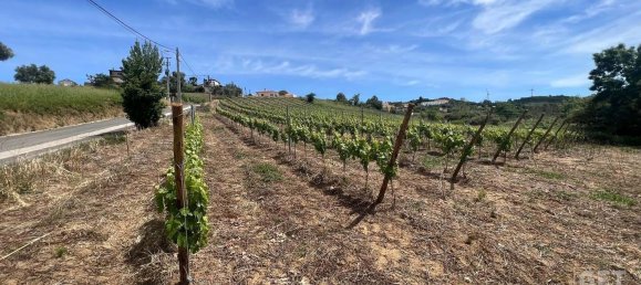 Grundstück in Torres Vedras, Portugal 3520m², Nr. 94519 5