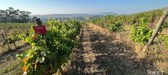 Grundstück in Torres Vedras, Portugal 3520m², Nr. 94519 4