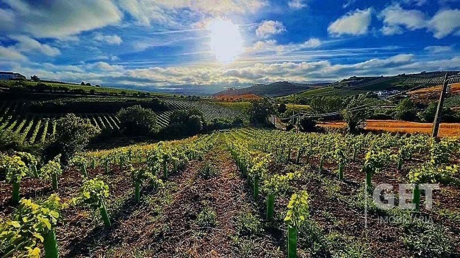 Grundstück in Torres Vedras, Portugal 3520m², Nr. 94519