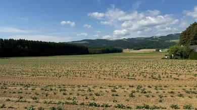  Land in Wolfsberg, Austria No. 213498