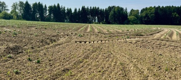 Land in Wolfsberg, Austria No. 213498 3