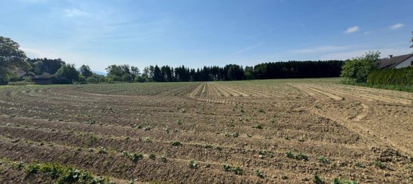 Land in Wolfsberg, Austria No. 213498 4