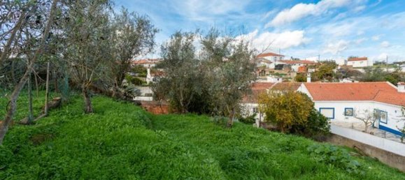 3 bedrooms House in Sao Martinho das Amoreiras, Portugal No. 184735 13