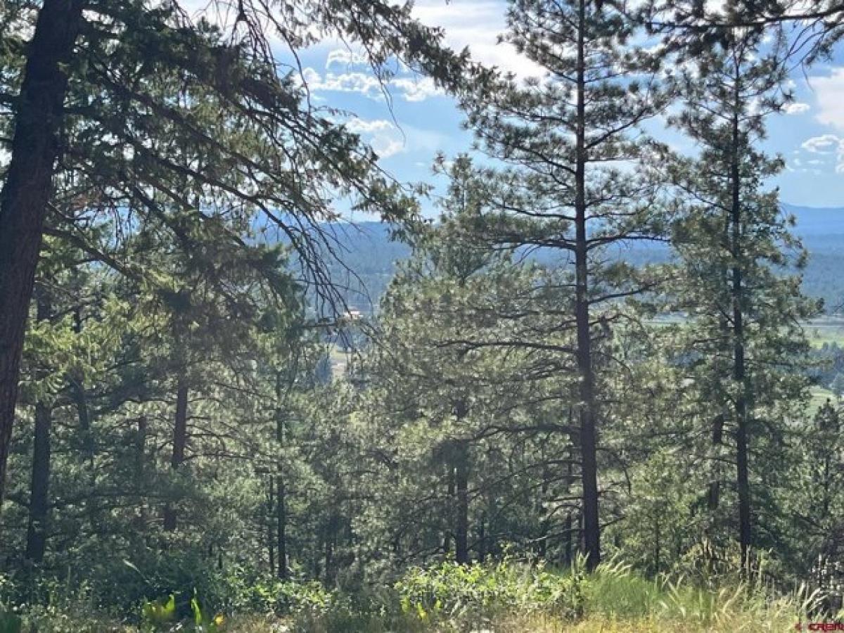  Land in Pagosa Springs, USA No. 512601