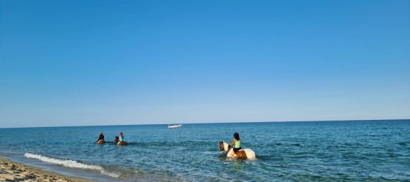 3 bedrooms Villa in Solaro, France No. 51523 11