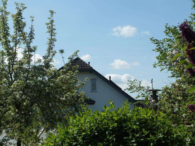 Moradia em banda T6 em Nordsachsen, Germany N.º 319906