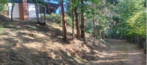 Terreno em Wartburgkreis, Germany N.º 280496 4