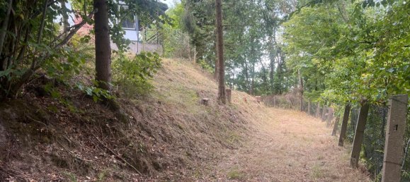 Terreno em Wartburgkreis, Germany N.º 280496 5