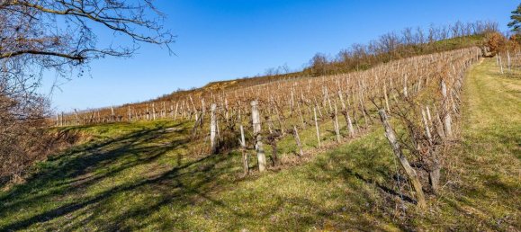 Grundstück in Ziersdorf, Austria 8798m², Nr. 219290 4