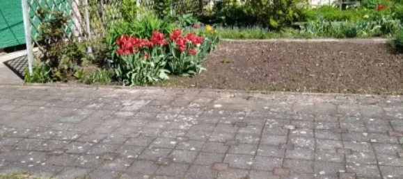 5-Zimmer Haus in Wartburgkreis, Germany, Nr. 67439 6