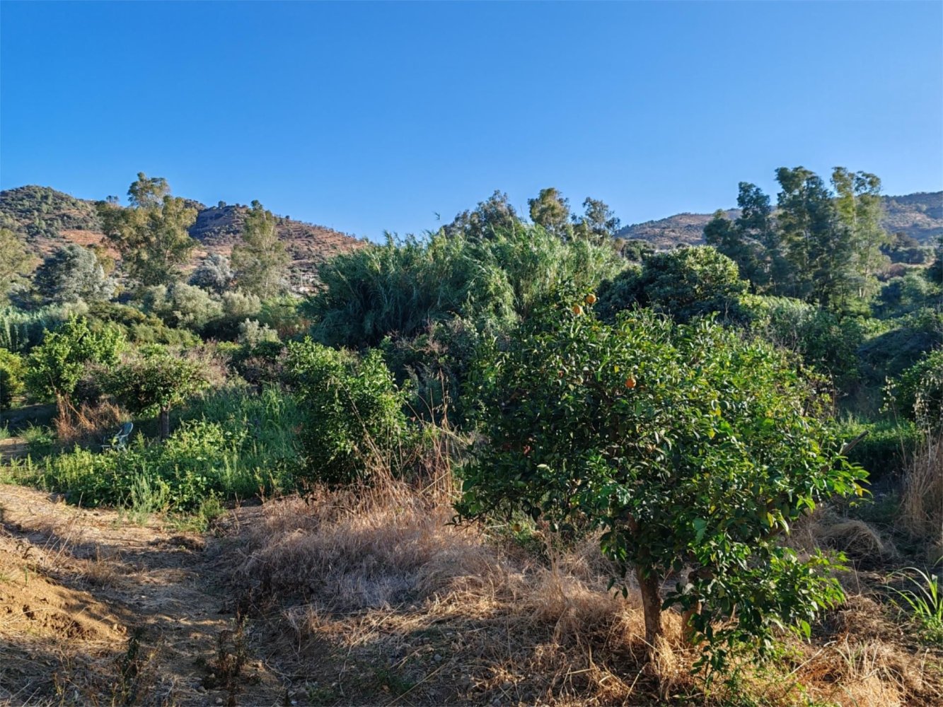 1200m² Land in Guaro, Spain No. 198710