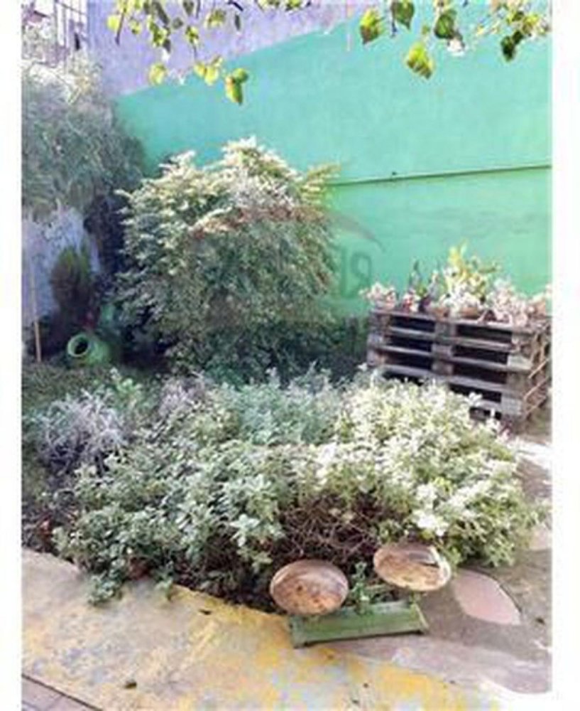 Studio in Buenos Aires, Argentina No. 102736