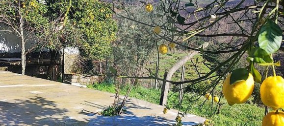 6 bedrooms House in Cabril, Portugal No. 185523 6