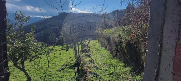 6 bedrooms House in Cabril, Portugal No. 185523 5