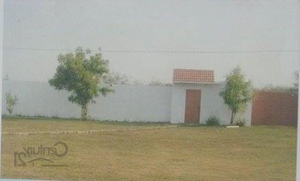  قطعة أرض في Veracruz, Mexico رقم 205385