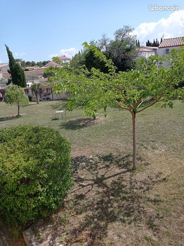 3 bedrooms House in Ginestas, France No. 336266