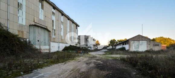 19568m² Warehouse in Cartaxo, Portugal No. 90933 26