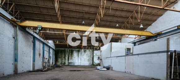19568m² Warehouse in Cartaxo, Portugal No. 90933 5