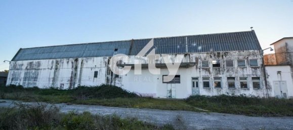 19568m² Warehouse in Cartaxo, Portugal No. 90933 10