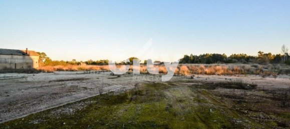 19568m² Warehouse in Cartaxo, Portugal No. 90933 21