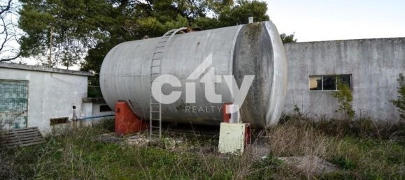 19568m² Warehouse in Cartaxo, Portugal No. 90933 7