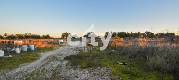 19568m² Warehouse in Cartaxo, Portugal No. 90933 2